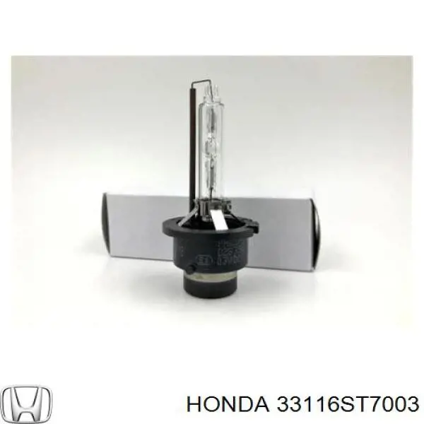 33116ST7003 Honda bombilla de xenon