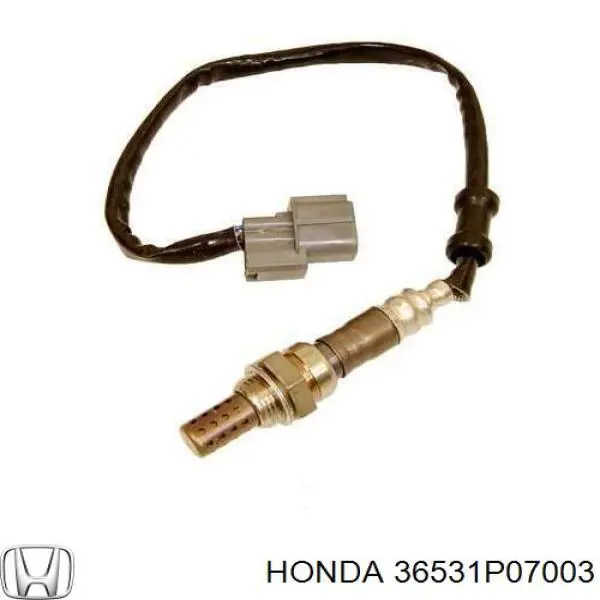 Sonda de oxígeno Honda 36531P07003 precio, desde 299,09 EUR