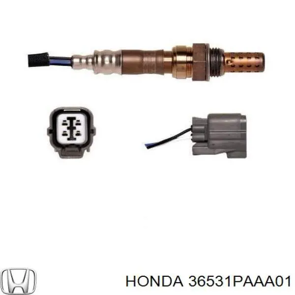 36531PAAA01 Honda