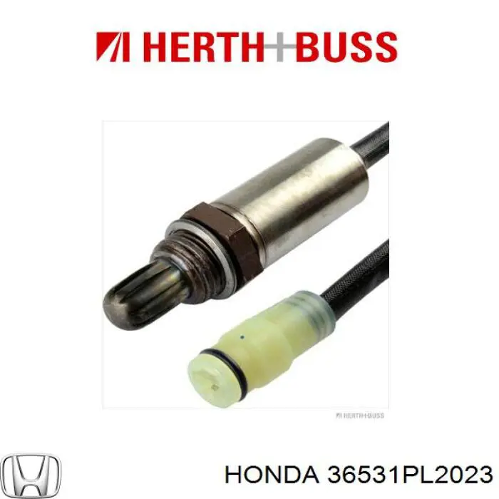 36531PL2023 Honda