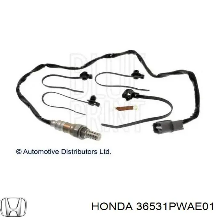 36531PWAE01 Honda sonda lambda sensor de oxigeno para catalizador