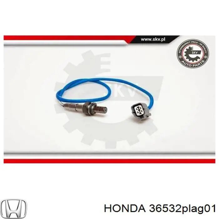  Honda 36532PLAG01