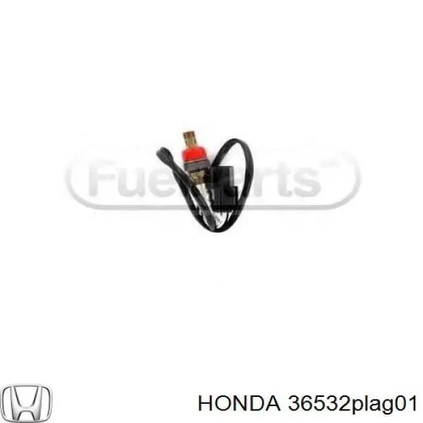  Honda 36532PLAG01 precio, desde 544,91 EUR