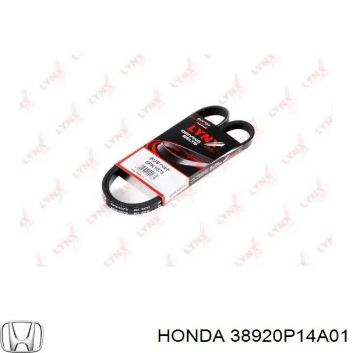 38920P14A01 Honda correa trapezoidal