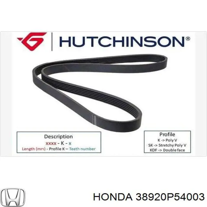 38920-P54-003 Honda correa trapezoidal