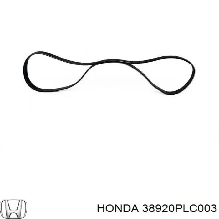 Correa de alternador 38920PLC003 Honda
