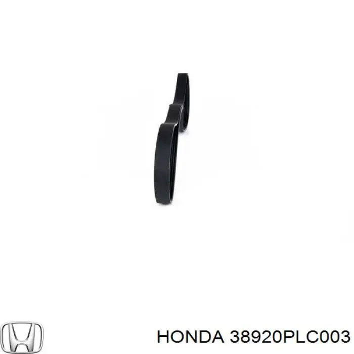 Comprar 38920PLC003 Honda Correa trapezoidal