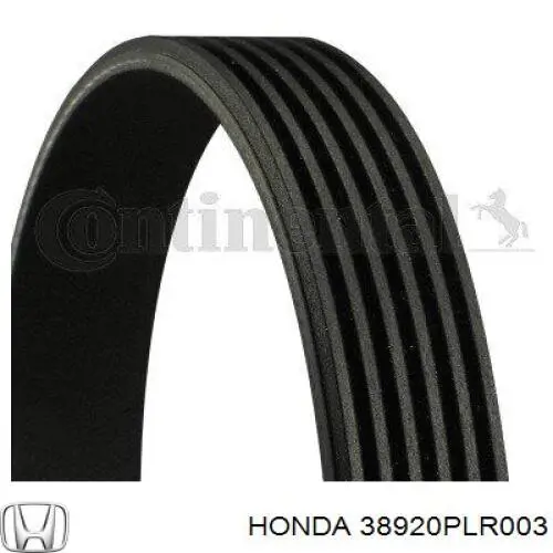 38920-PLR-003 Honda correa trapezoidal
