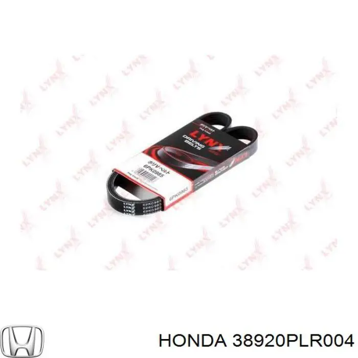 38920PLR004 Honda correa trapezoidal