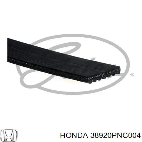 38920-PNC-004 Honda correa trapezoidal