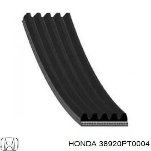 Correa de alternador 38920PT0004 Honda