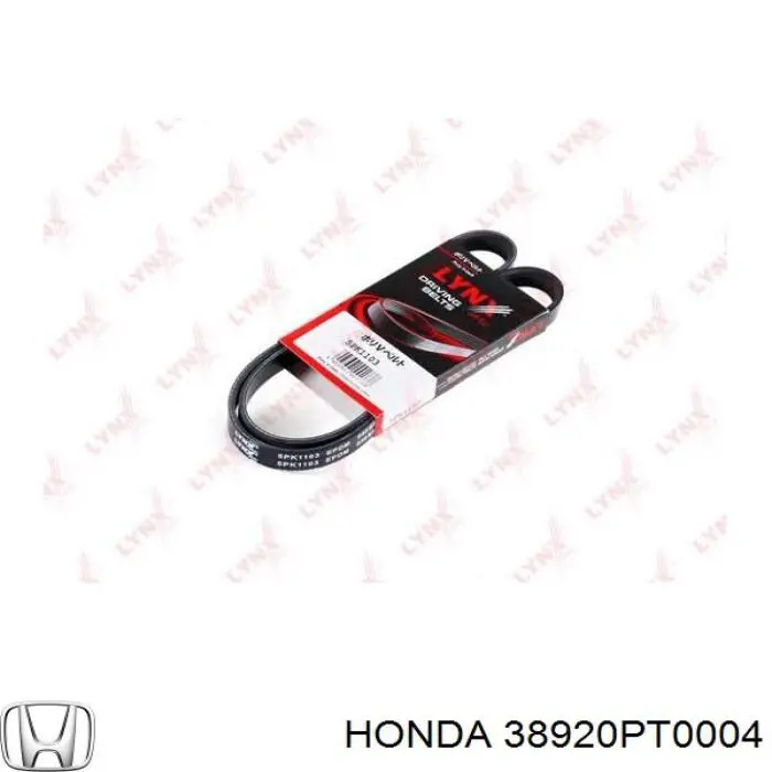 Comprar 38920PT0004 Honda Correa trapezoidal