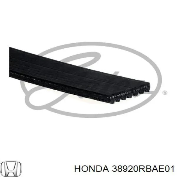 Correa de transmisión trapezoidal Honda 38920RBAE01 precio, desde 26,67 EUR