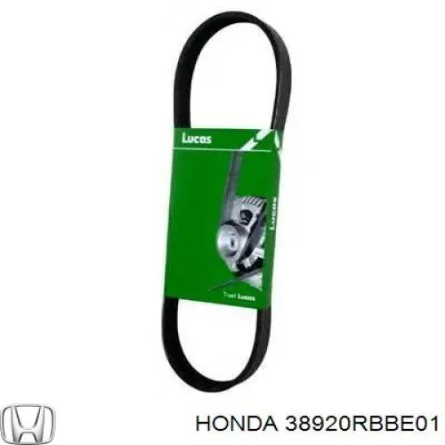 Correa de alternador 38920RBBE01 Honda