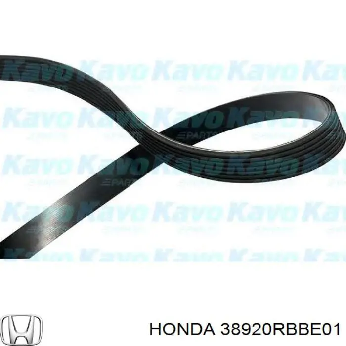 Correa de transmisión trapezoidal Honda 38920RBBE01 precio, desde 23,28 EUR