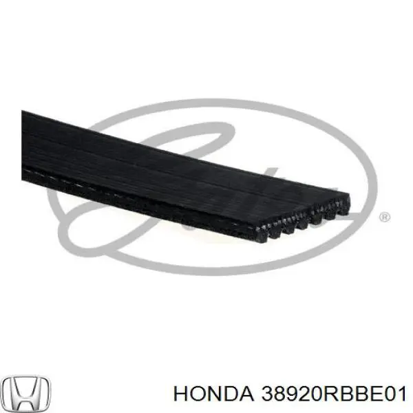 Comprar 38920RBBE01 Honda Correa trapezoidal