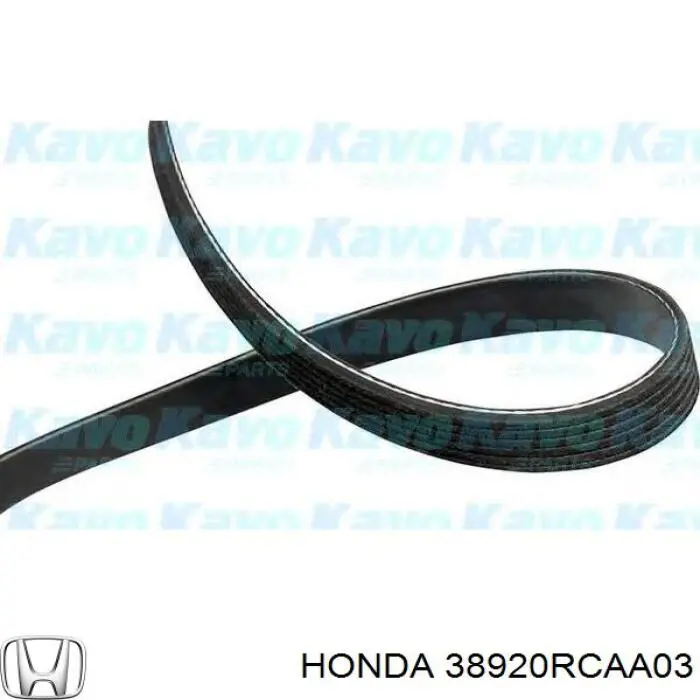 Correa de transmisión trapezoidal Honda 38920RCAA03 precio, desde 21,72 EUR
