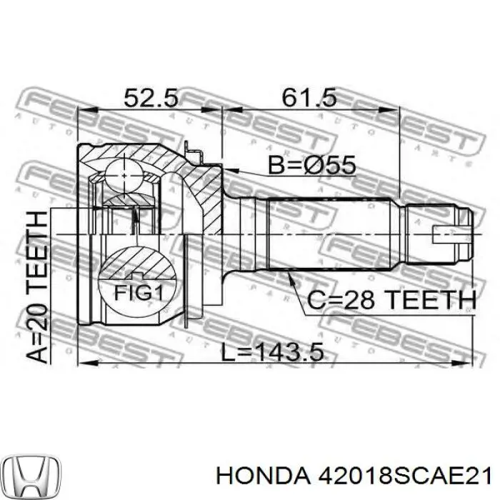 Fuelle semieje delantero exterior Honda 42018SCAE21
