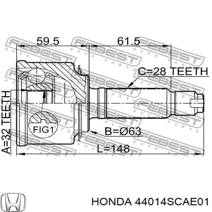 Junta homocinética exterior delantera Honda 44014SCAE01