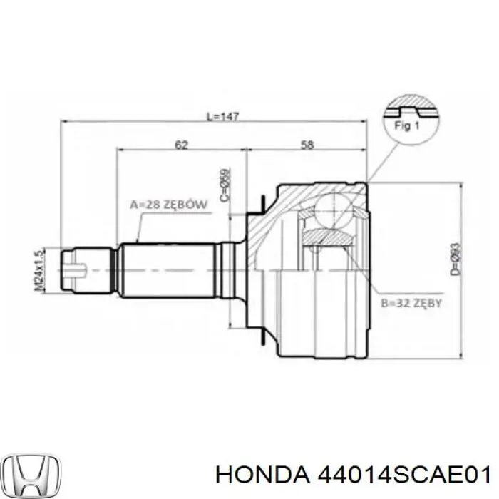Junta homocinética exterior delantera Honda 44014SCAE01 precio, desde 41,45 EUR