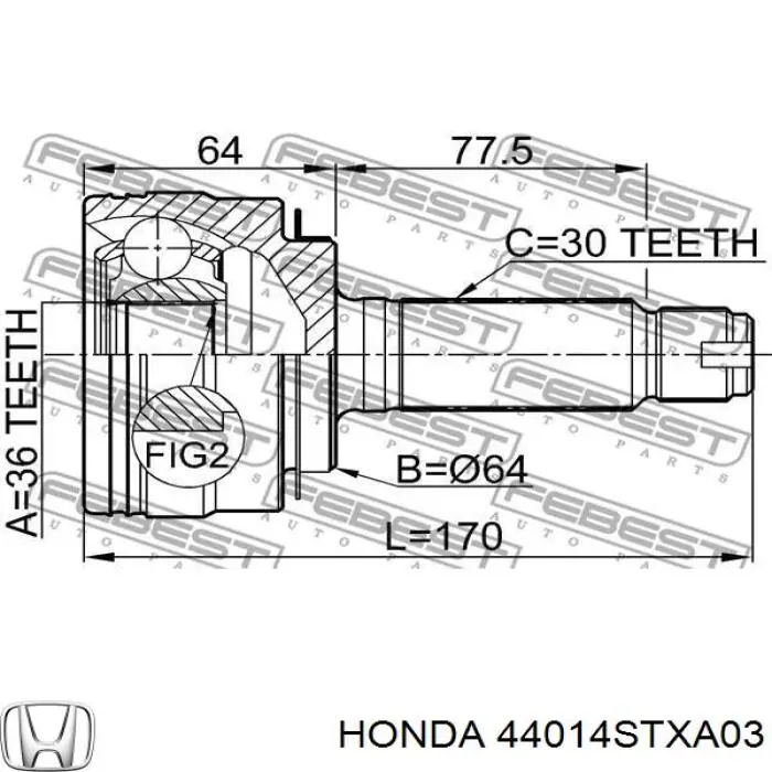 44014STXA03 Honda junta homocinética exterior delantera