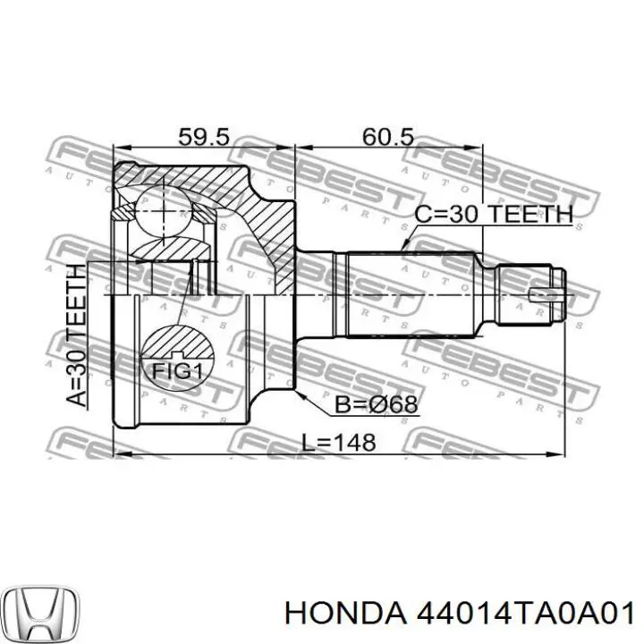 44014TA0A01 Honda junta homocinética exterior delantera