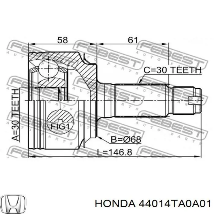 Junta homocinética exterior delantera Honda 44014TA0A01 precio, desde 46,67 EUR