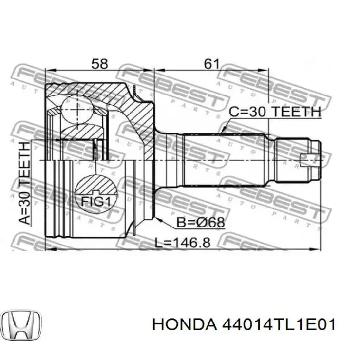 Junta homocinética exterior delantera Honda 44014TL1E01 precio, desde 58,19 EUR