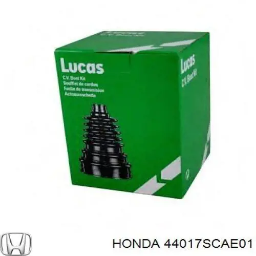 Fuelle transmisión delantero exterior Honda 44017SCAE01 precio, desde 16,08 EUR