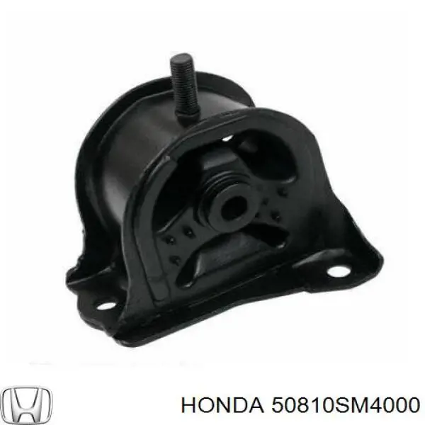 Soporte de motor trasero AWSHO1047 Tenacity