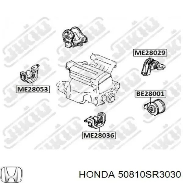 Comprar 50810SR3030 Honda Soporte de motor trasero
