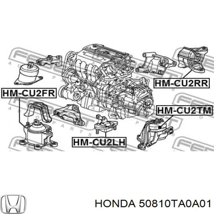 AWSHO1096 Tenacity Taco de motor