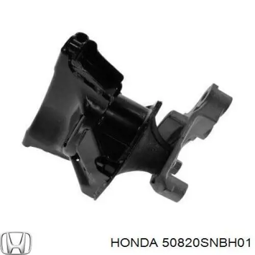Comprar 50820SNBH01 Honda Soporte inferior derecho del motor