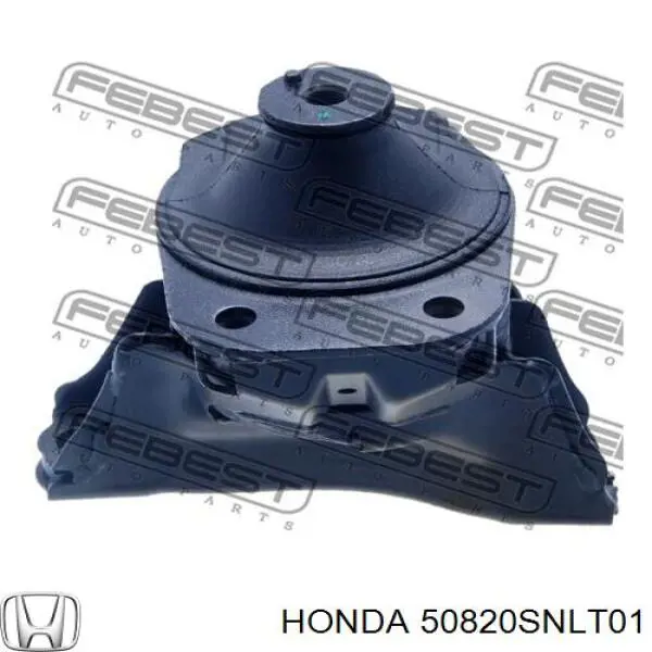 50820SNLT01 Honda soporte, motor, derecho inferior