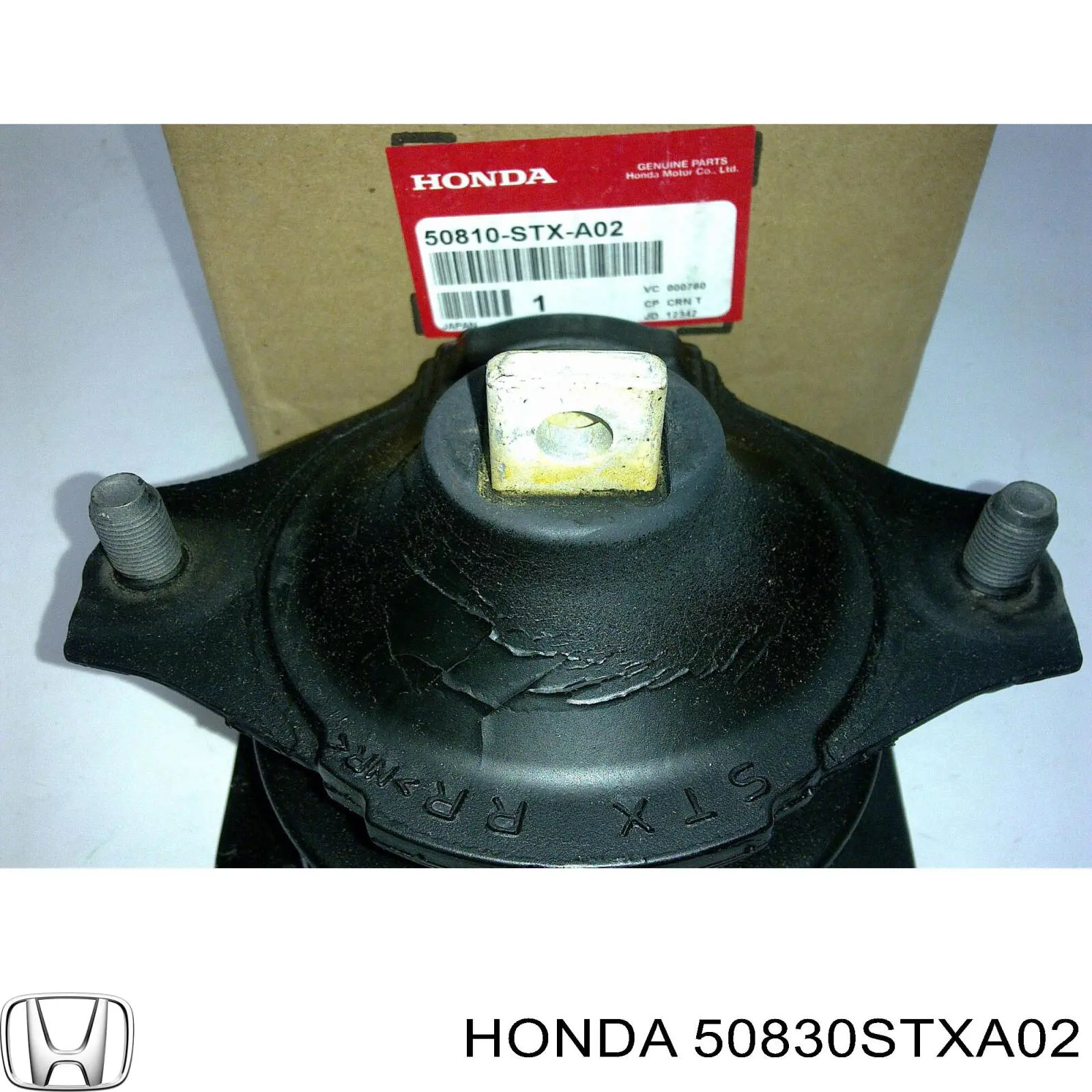 50830STXA02 Honda soporte motor delantero