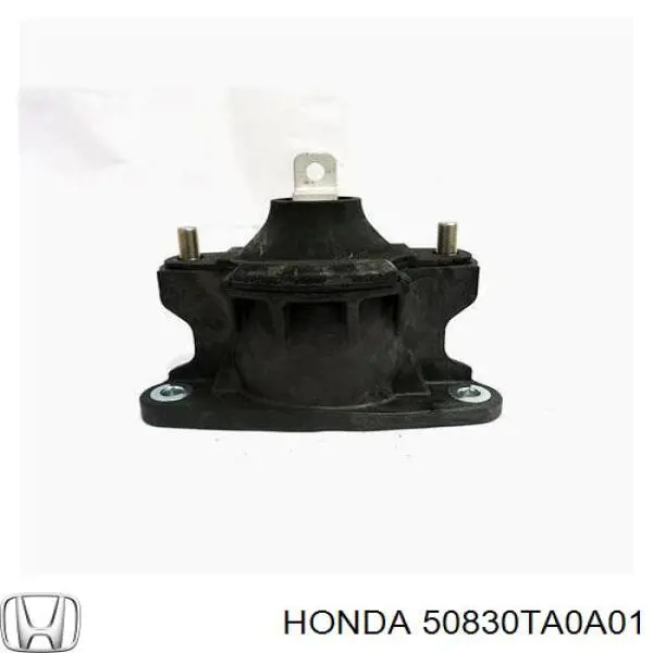 Soporte motor delantero para Honda Accord (CU)