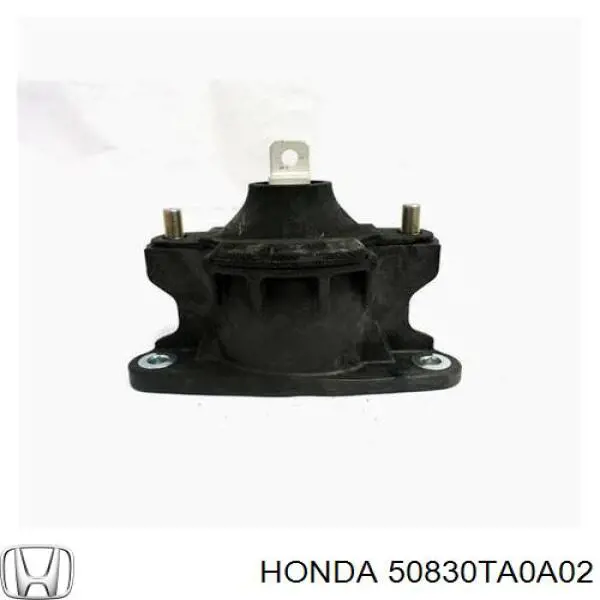 50830TA0A02 Honda Soportes de motor delantero