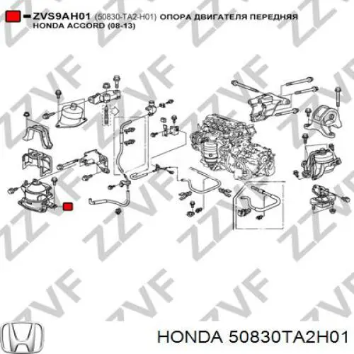 Soporte de motor delantero AWSHO1131 Tenacity