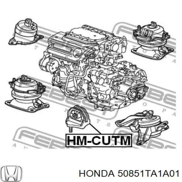 50851TA1A01 Honda Soporte inferior izquierdo del motor