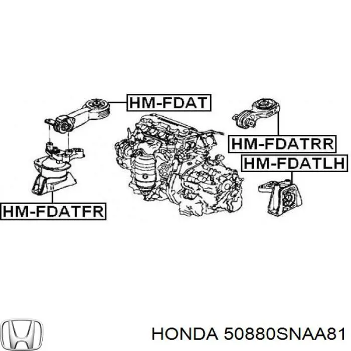 50880SNAA81 Honda soporte, motor, derecho superior