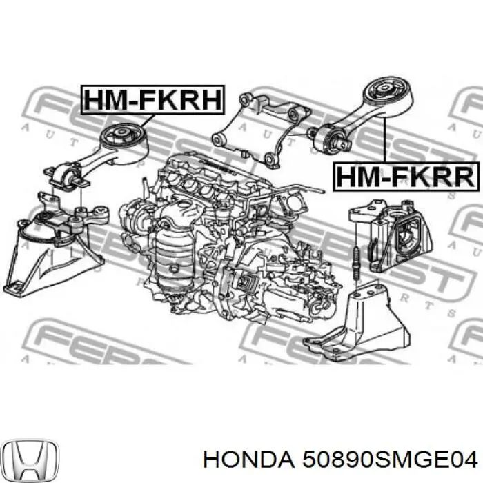 Soporte de motor trasero para Honda Civic (FK1)