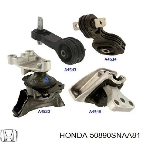 50890SNAA81 Honda soporte de motor trasero