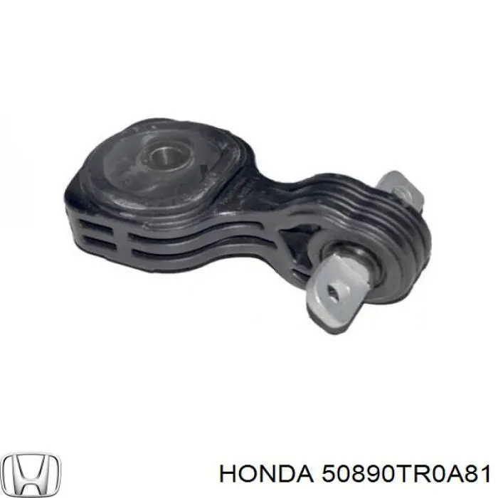 Comprar AWSHO1163 Tenacity Soporte de motor trasero