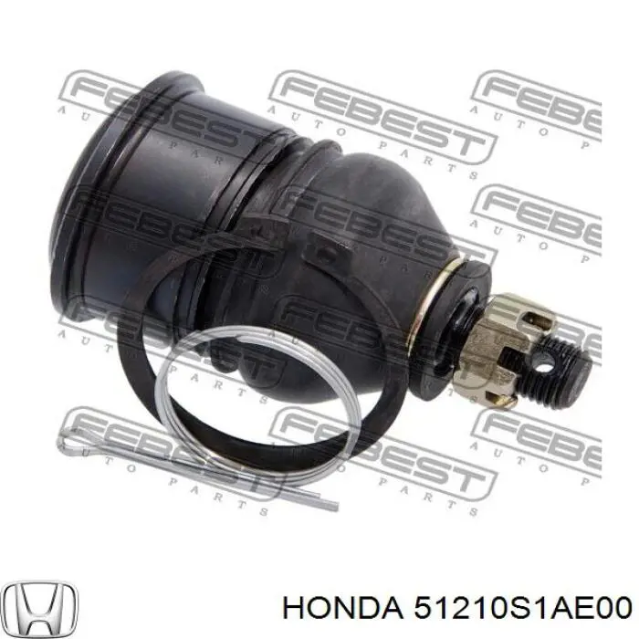 Mangueta delantera derecha Honda 51210S1AE00 precio, desde  
