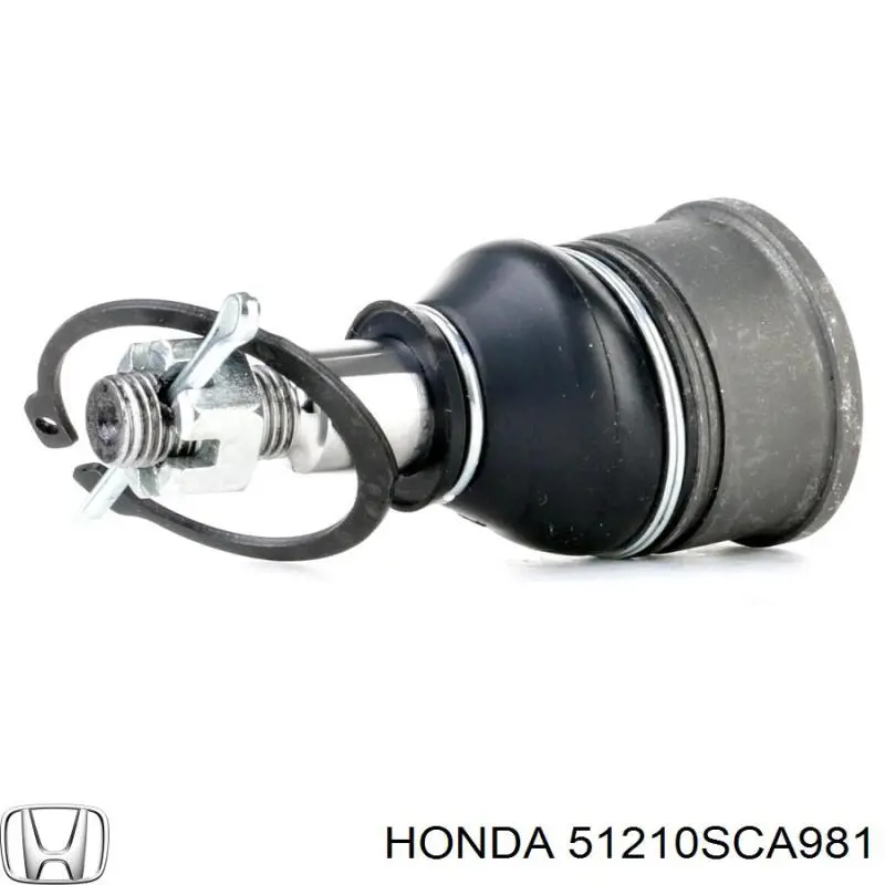 51210SCA981 Honda muñón del eje, suspensión de rueda, delantero derecho