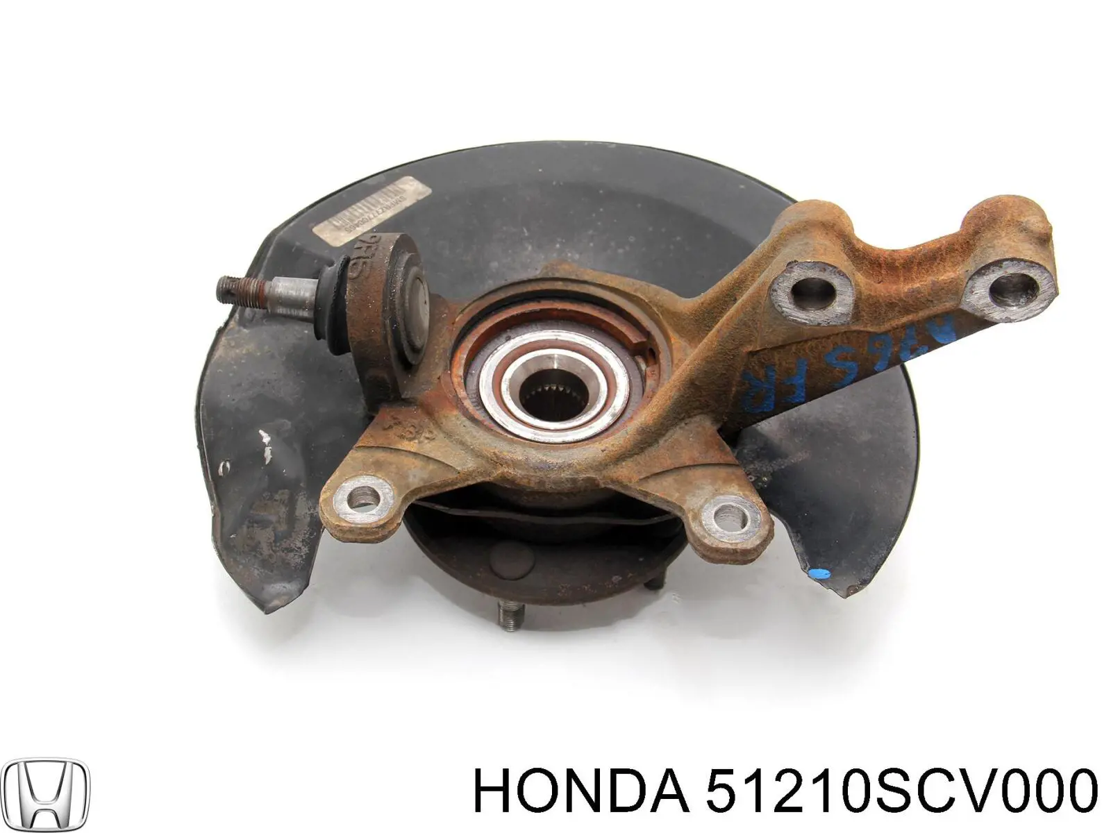 51210SCV000 Honda muñón del eje, suspensión de rueda, delantero derecho