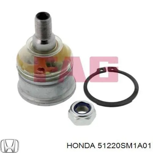 Rótula inferior de suspensión Honda 51220SM1A01 precio, desde 9,82 EUR
