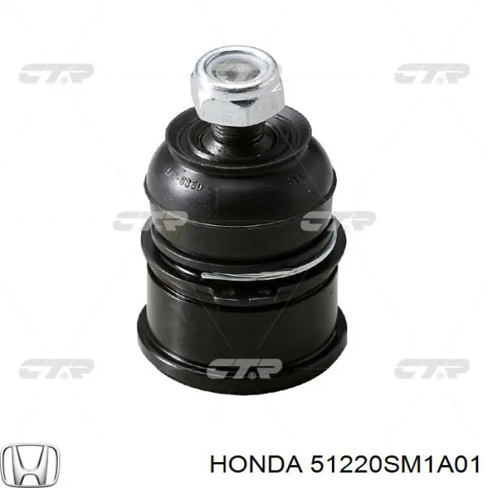 Comprar 51220SM1A01 Honda Rótula inferior de suspensión