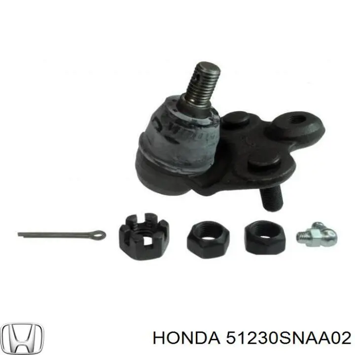 51230SNAA02 Honda rótula de suspensión inferior