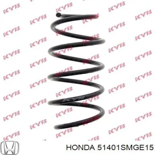 Muelle delantero Honda 51401SMGE15 precio, desde 30,86 EUR